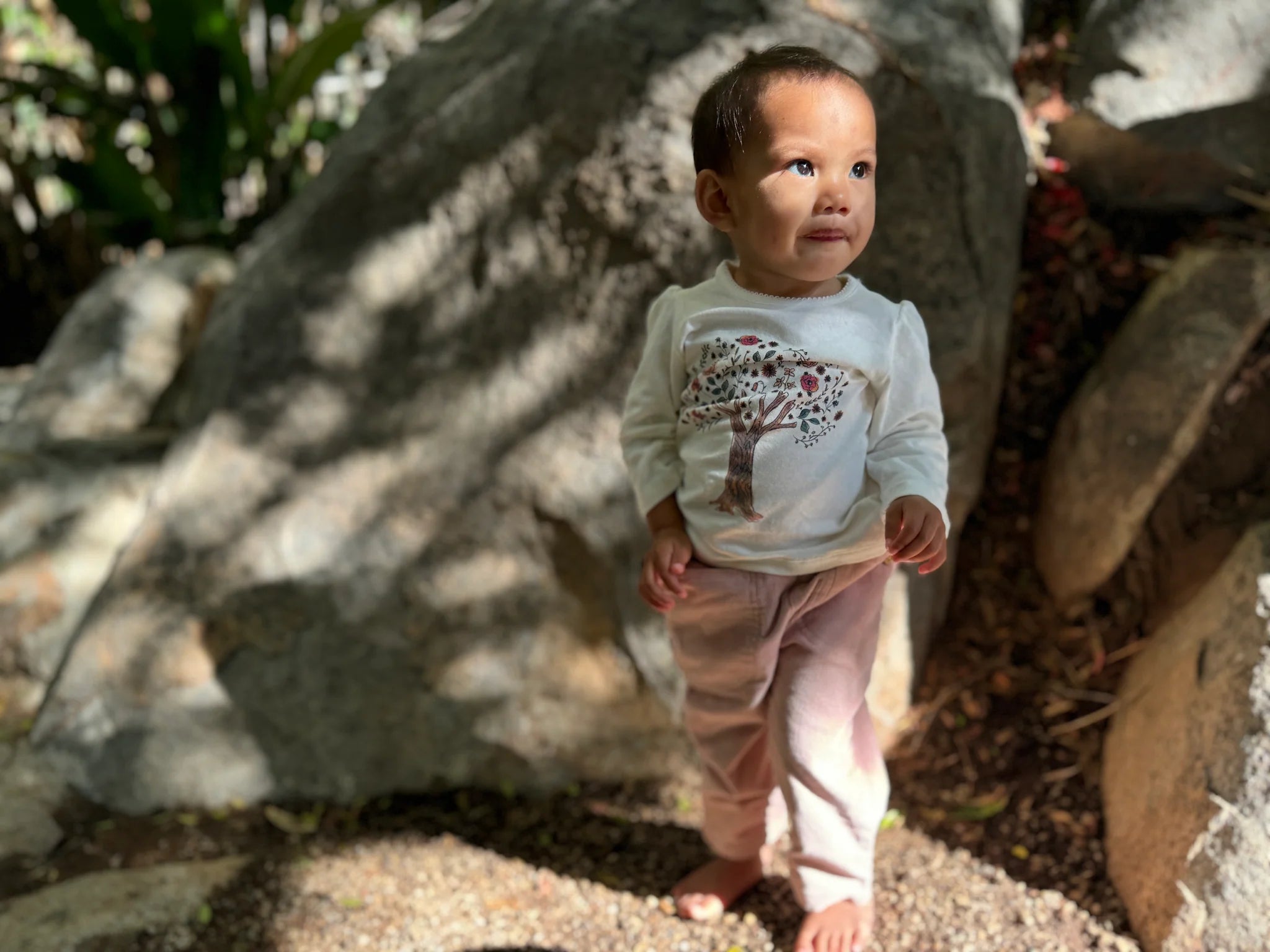 Fred Micro Cord Pink Pants