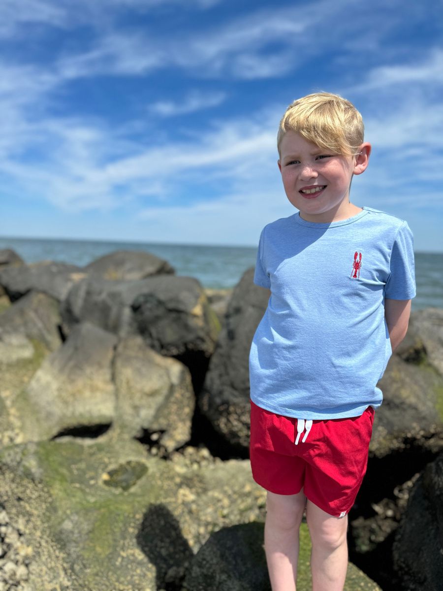 light blue lobster embroidered tee boy