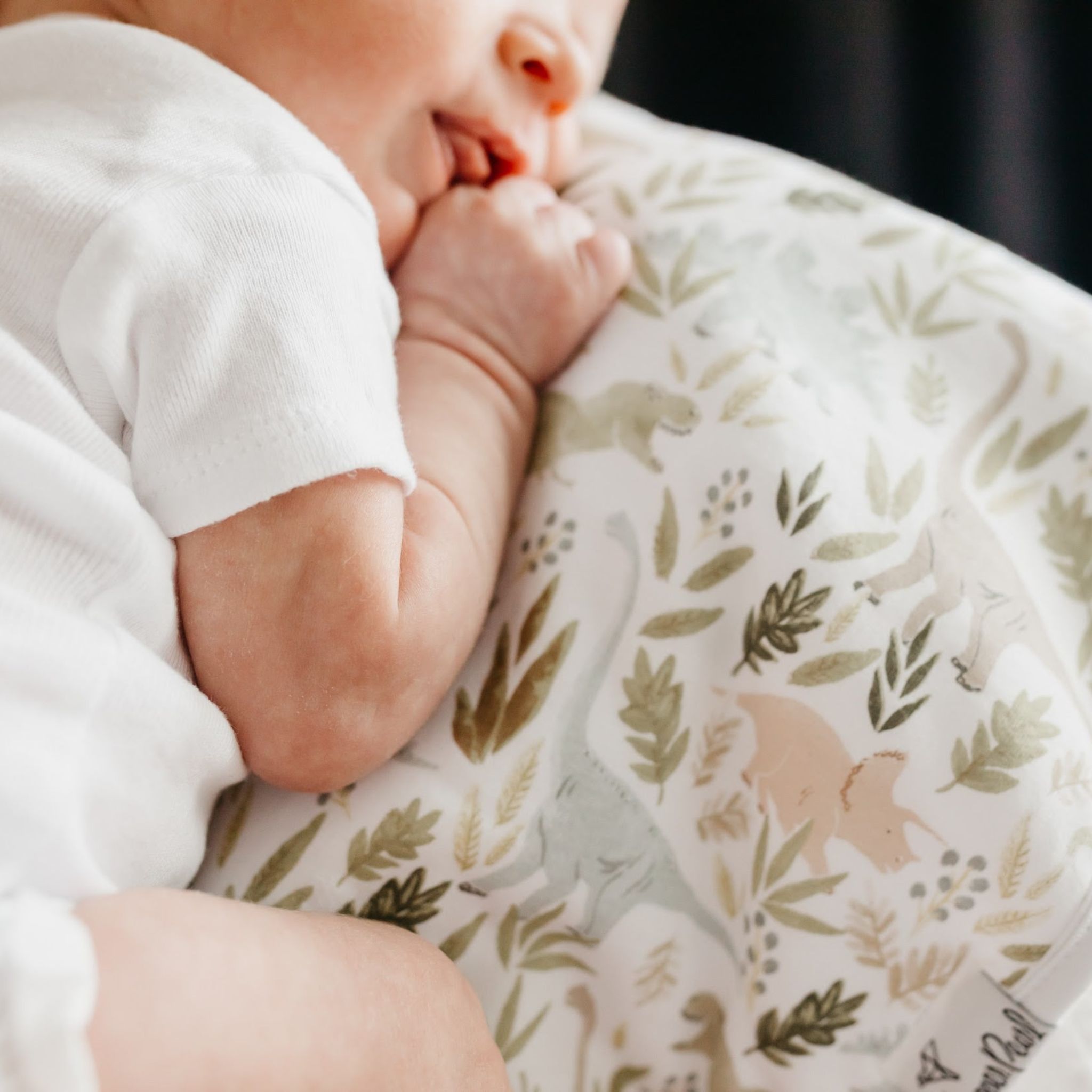 soft and sweet dinosaur burp cloth