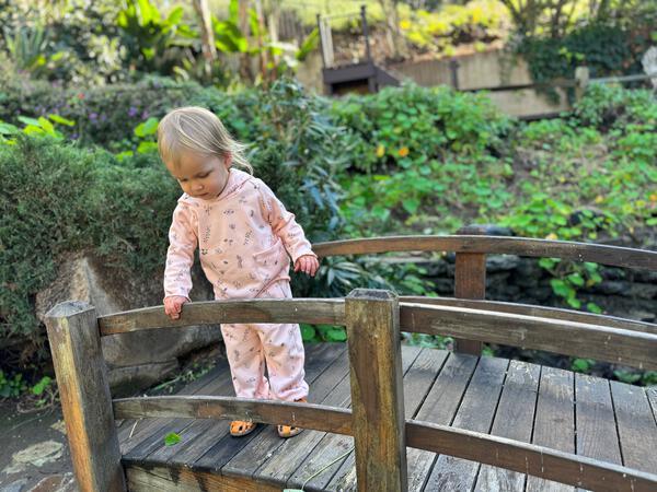 Ebrel Floral Pants