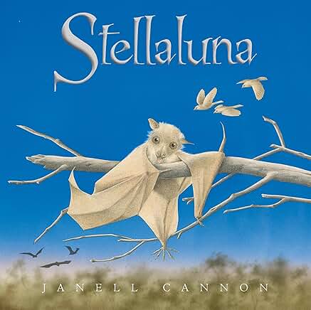 Stellaluna Board Book