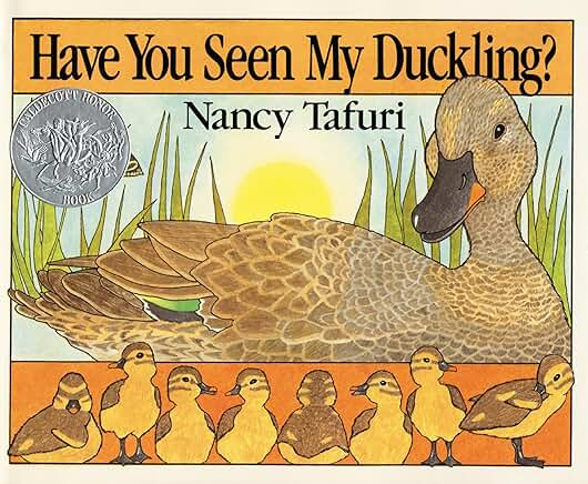 Have You Seen My Duckling? Board Book