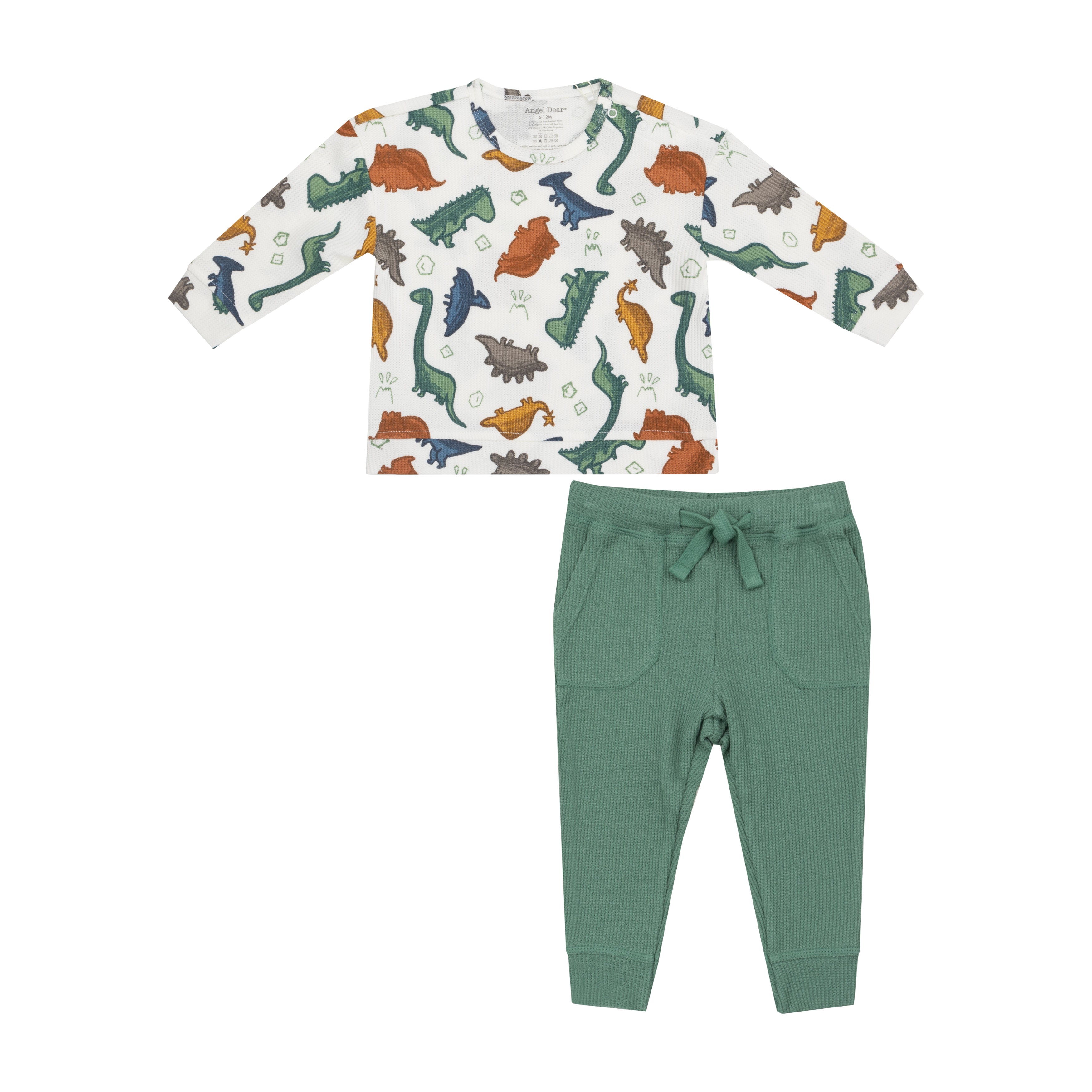 Dino Print Sweatshirt and Jogger