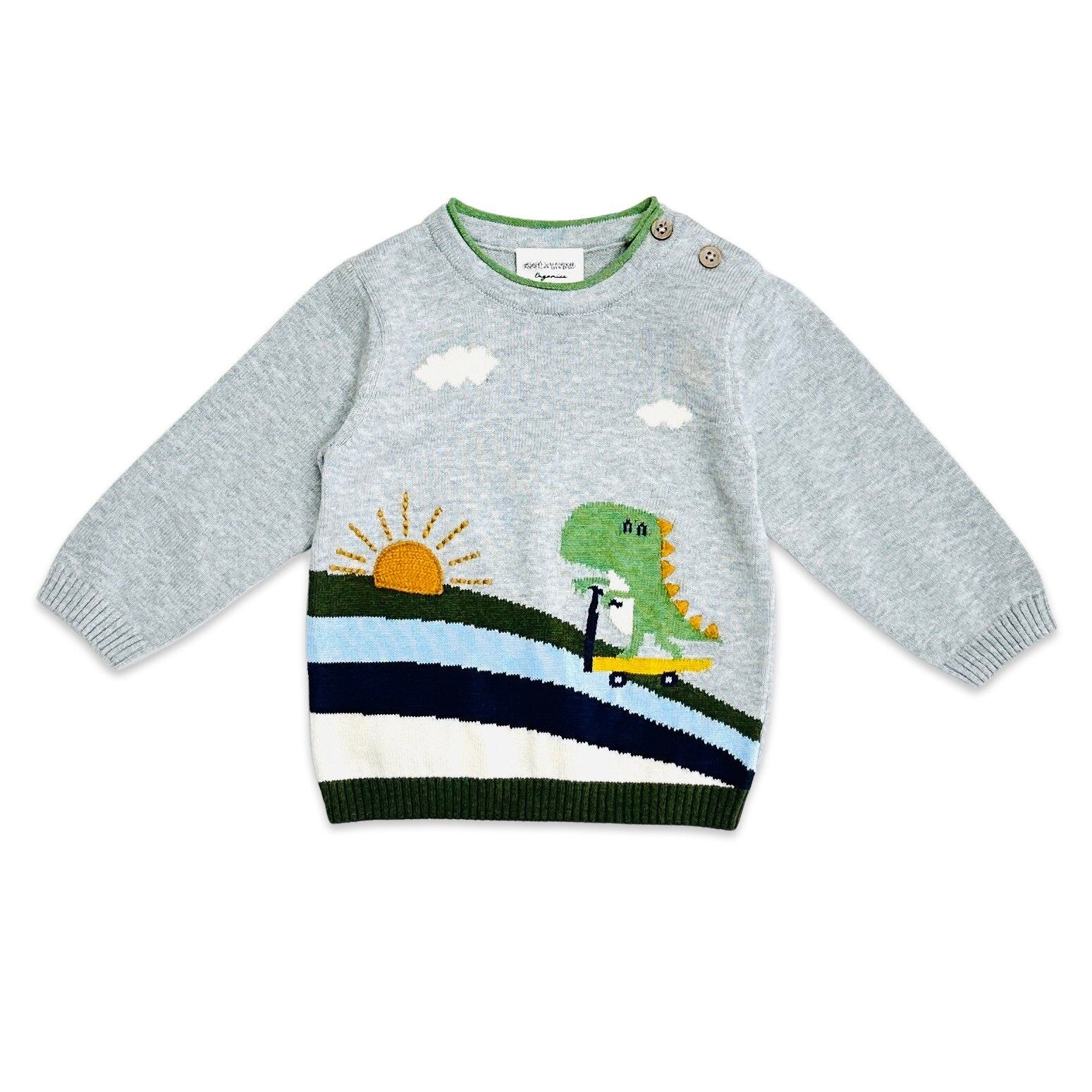 Dinosaur scooter organic knit sweater