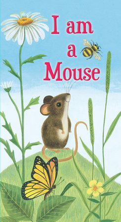 I am a mouse board book