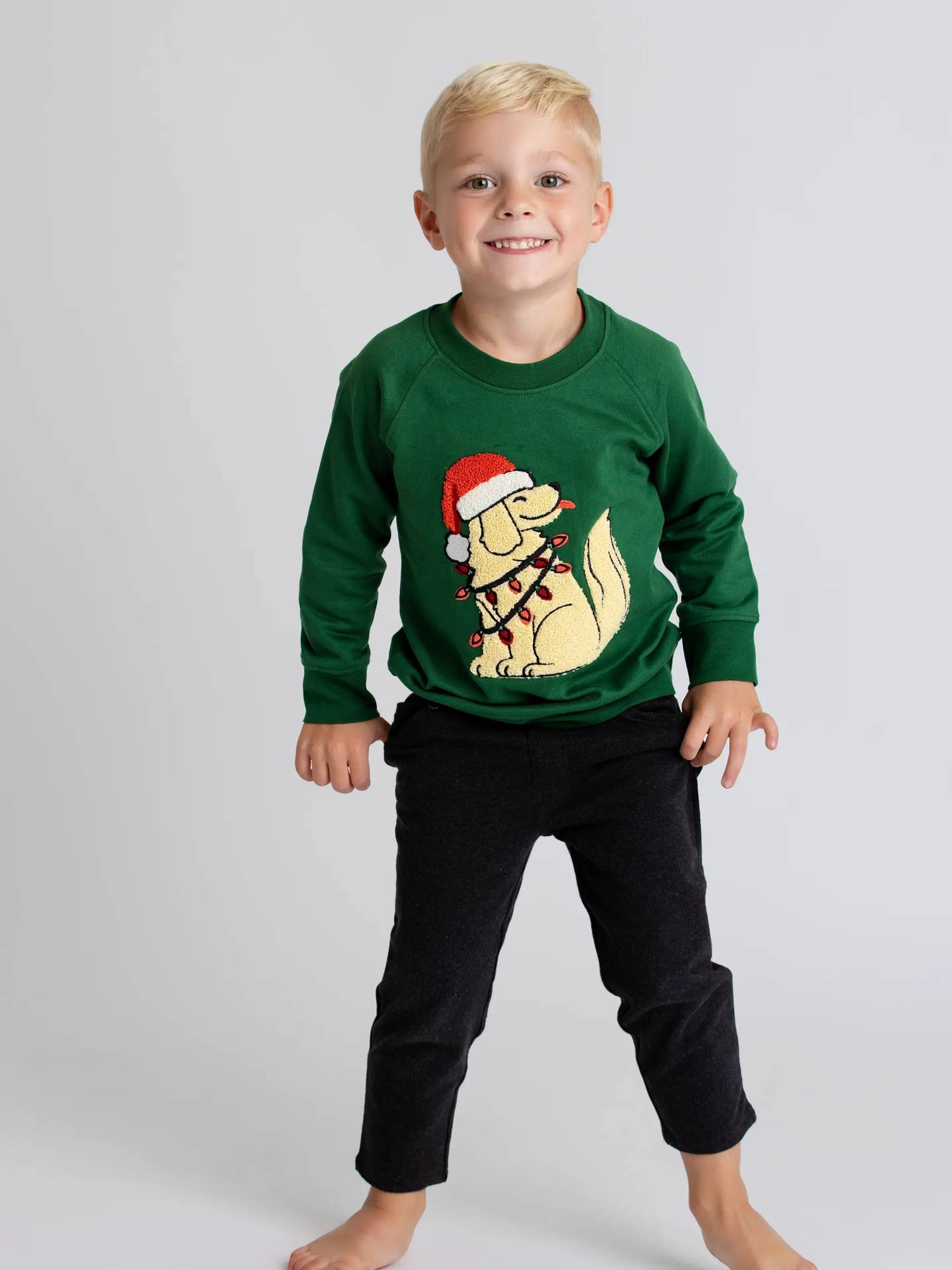 dog wrapped in christmas lights sweatshirt