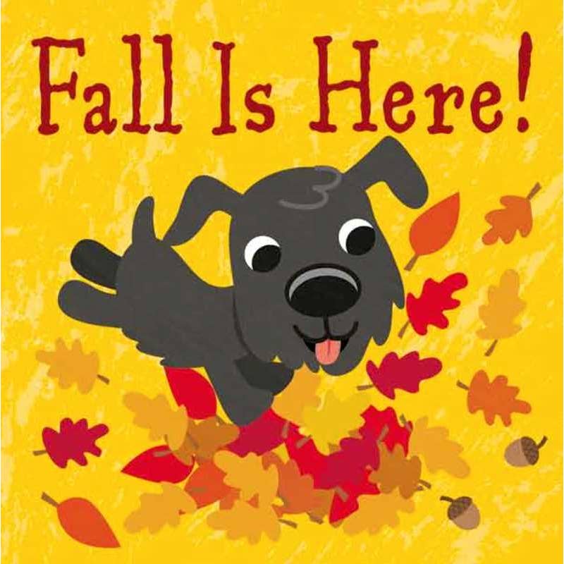 fall is here board book