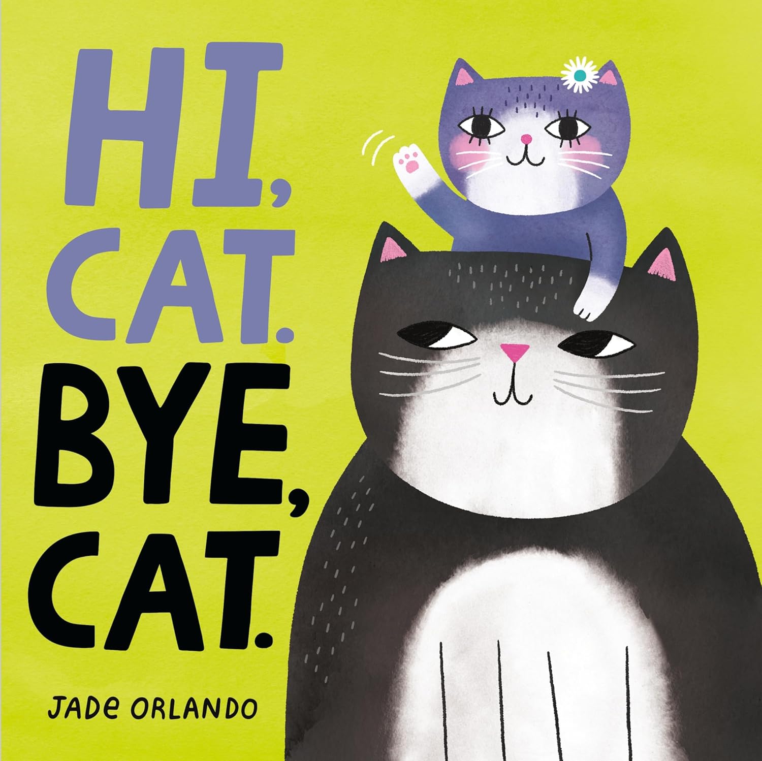 hi cat bye cat board book