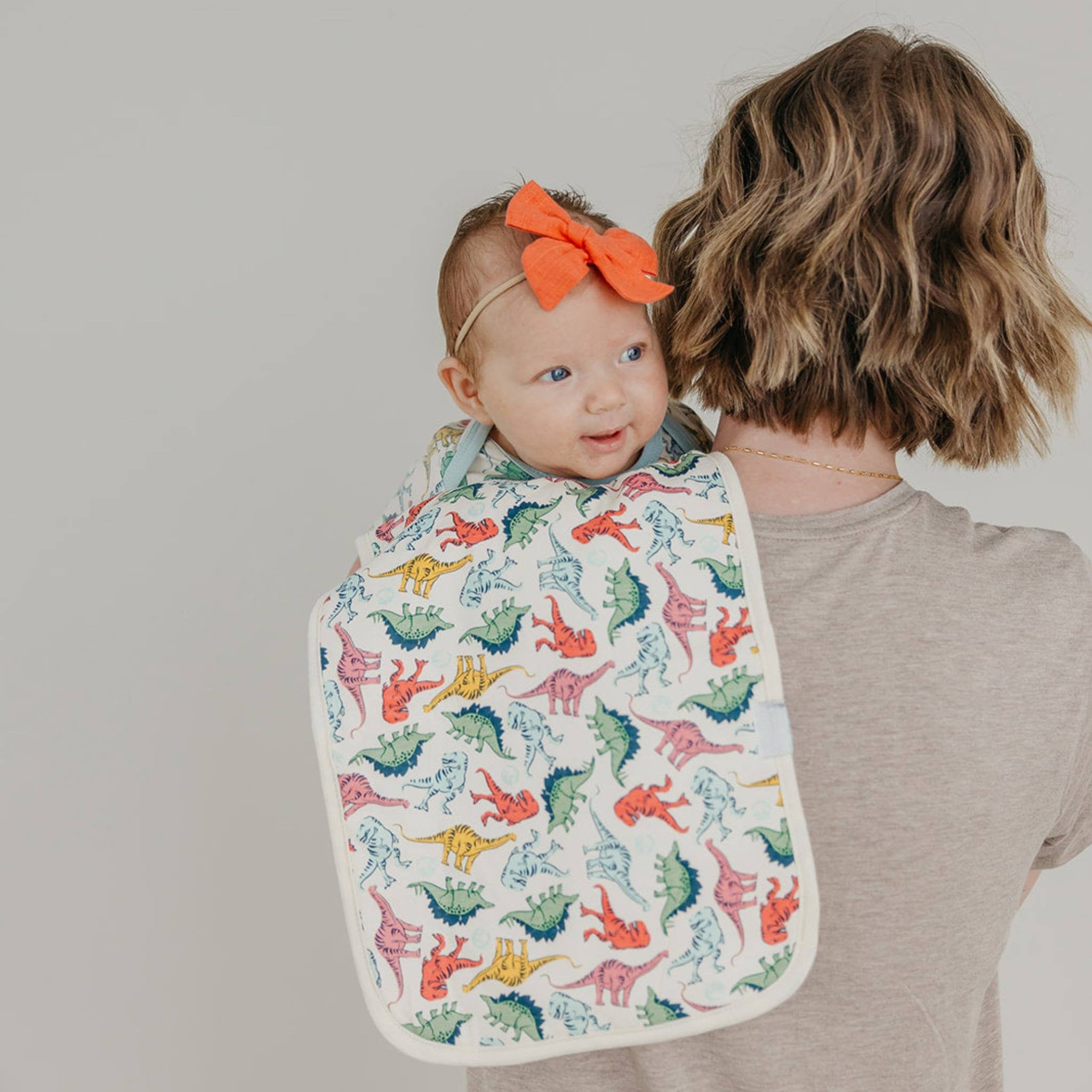 jurassic park dinosaurs burp cloth